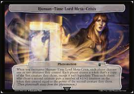 Human-Time Lord Meta-Crisis