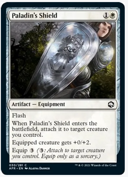 Paladin's Shield