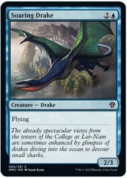 Soaring Drake