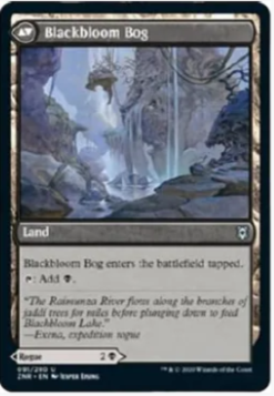 Blackbloom Rogue // Blackbloom Bog