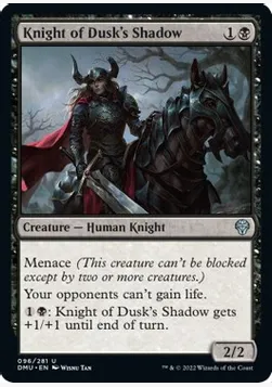 Knight of Dusk's Shadow