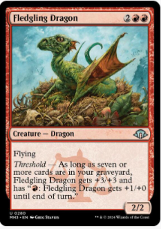 Fledgling Dragon