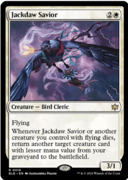 Jackdaw Savior